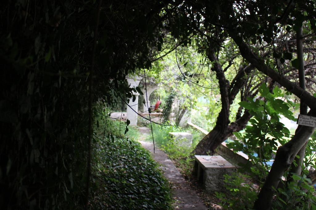 Bed and Breakfast Chorros Del Rio Mundo Риопар Экстерьер фото
